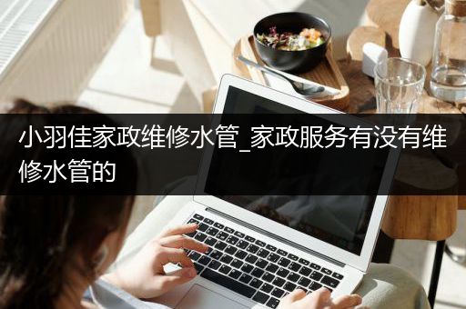 小羽佳家政维修水管_家政服务有没有维修水管的