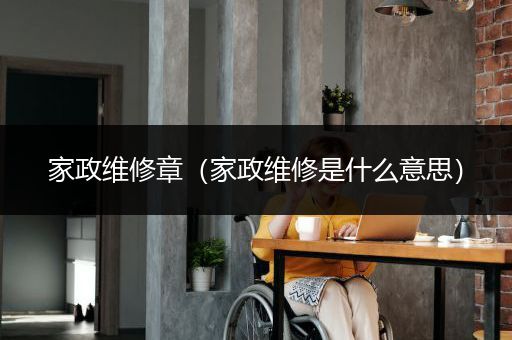 家政维修章（家政维修是什么意思）