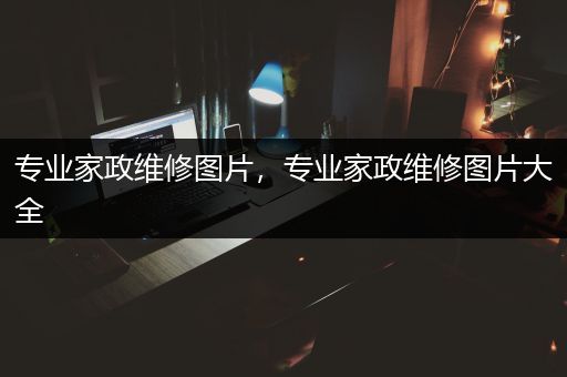 专业家政维修图片，专业家政维修图片大全