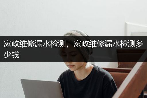 家政维修漏水检测，家政维修漏水检测多少钱