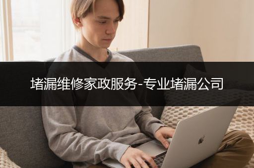 堵漏维修家政服务-专业堵漏公司