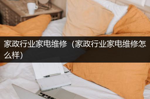 家政行业家电维修（家政行业家电维修怎么样）