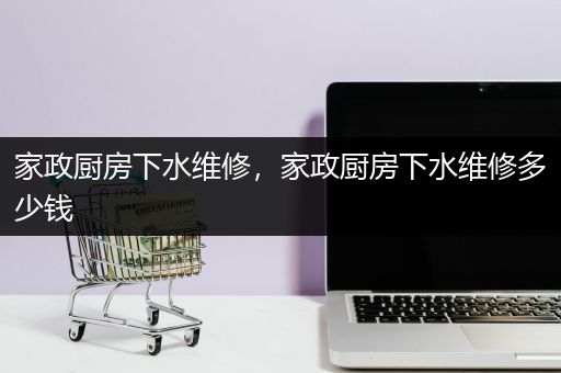 家政厨房下水维修，家政厨房下水维修多少钱